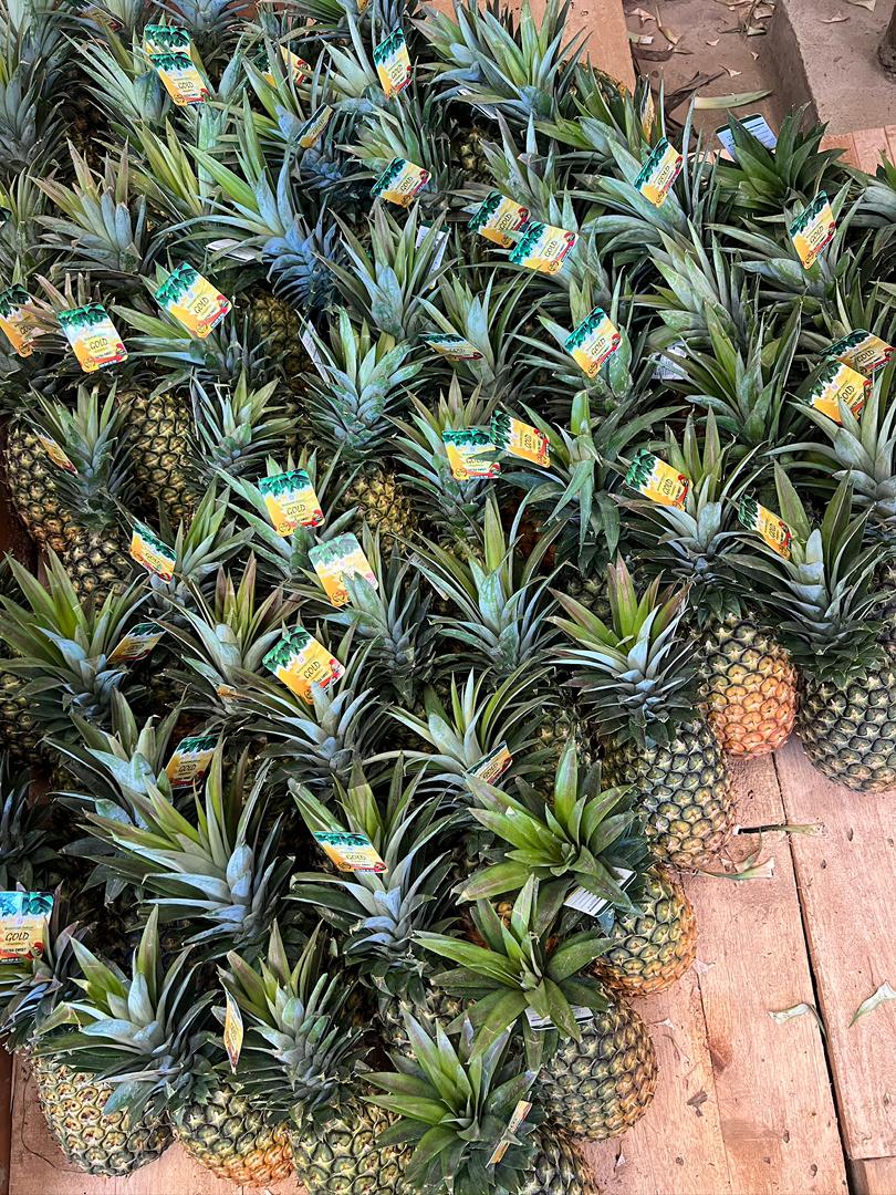 African Pineapple