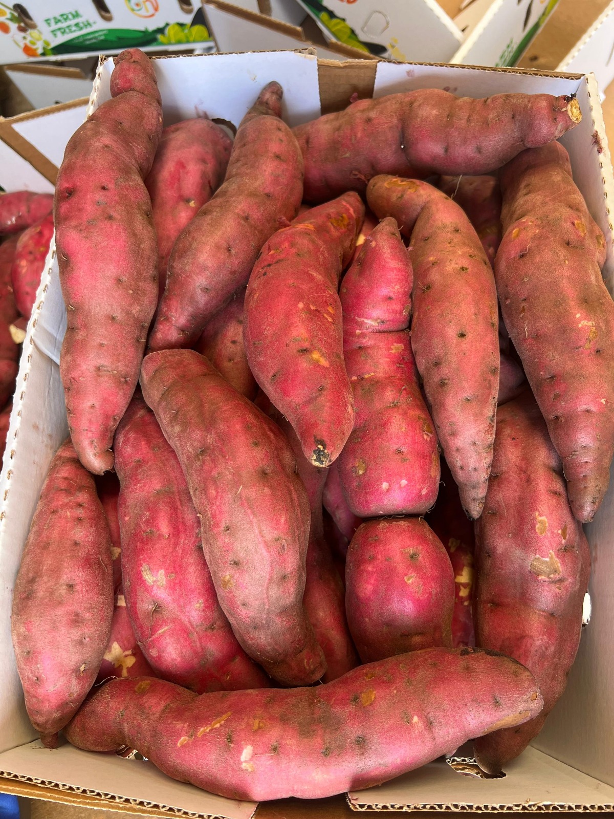 African Sweet Potatoes