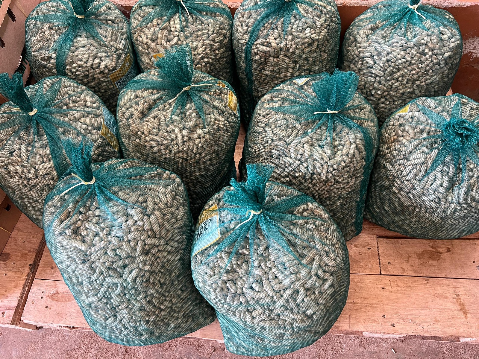 Raw African peanuts for wholesale export distribution