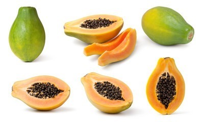 papaya A4